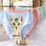 2016 Fashion Women Hot Sale Cotton Women Panties 3D Printed Cat Briefs Underwear for Gift Free Shipping