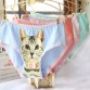 2016 Fashion Women Hot Sale Cotton Women Panties 3D Printed Cat Briefs Underwear for Gift Free Shipping32675596251